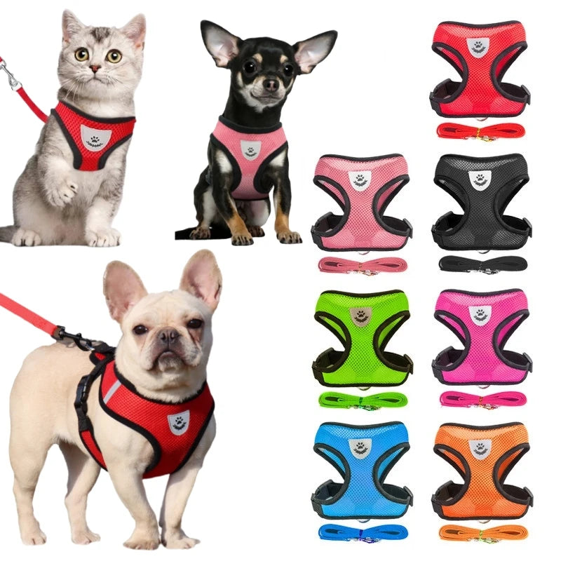 French Bulldog Harness & Leash